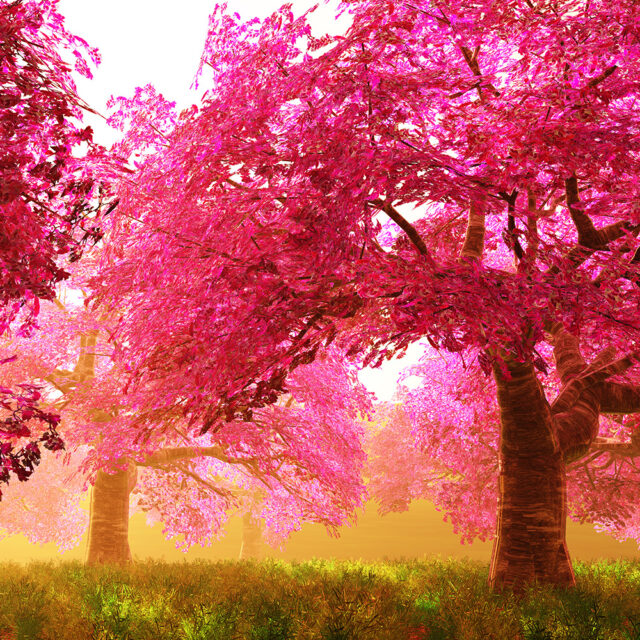 Why Good Advertising is So Crucial